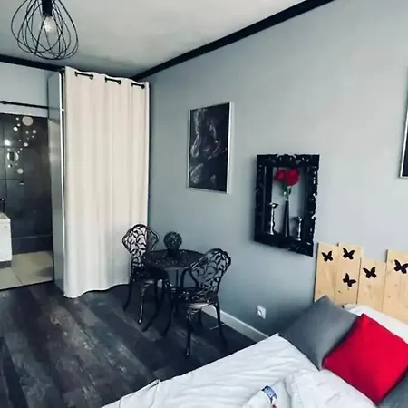 Orphelin Studio Avec Balneo Proche Centre Ville Reims Buitenkant foto