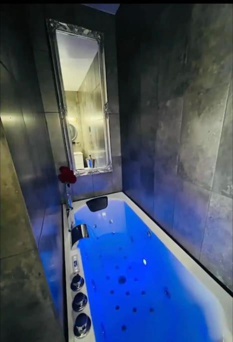Orphelin Avec Balneo Proche Centre Apartment *